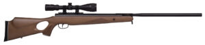 Benjamin BT725WNP Trail XL Nitrogen Piston 25 Pellet Black Hardwood Fixed Thumbhole Stock 3-9x40mm AO