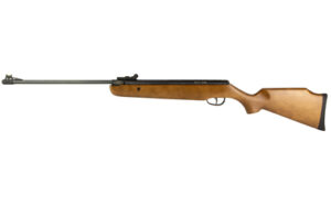 Crosman Vantage NP .22 Pellet Wood Air Rifle