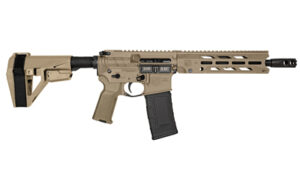 DBF DB15OBS 300BLK 10" 30RD FDE BRC
