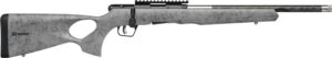 Savage B22 22LR Timberlite Thumbhole