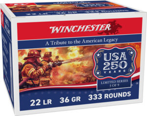 WINCHESTER 22LR 36GR PLATED HP – 1280FPS 333RD 10BX/CS 250TH AN