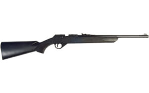 DAISY MODEL 35 MULTI-PUMP BB/.177