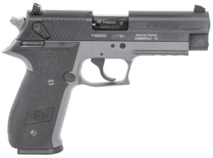 GSG GERG2210FFS FireFly  22 LR 10+1 4" Black Serrated Slide, Smoke Zinc Alloy w/Accessory Rail Frame, Black Polymer Grip