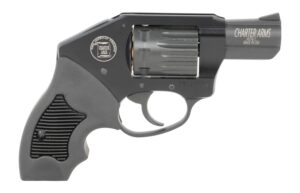 Charter Arms 12311 Walker 22 Mag 8 Shot 2"